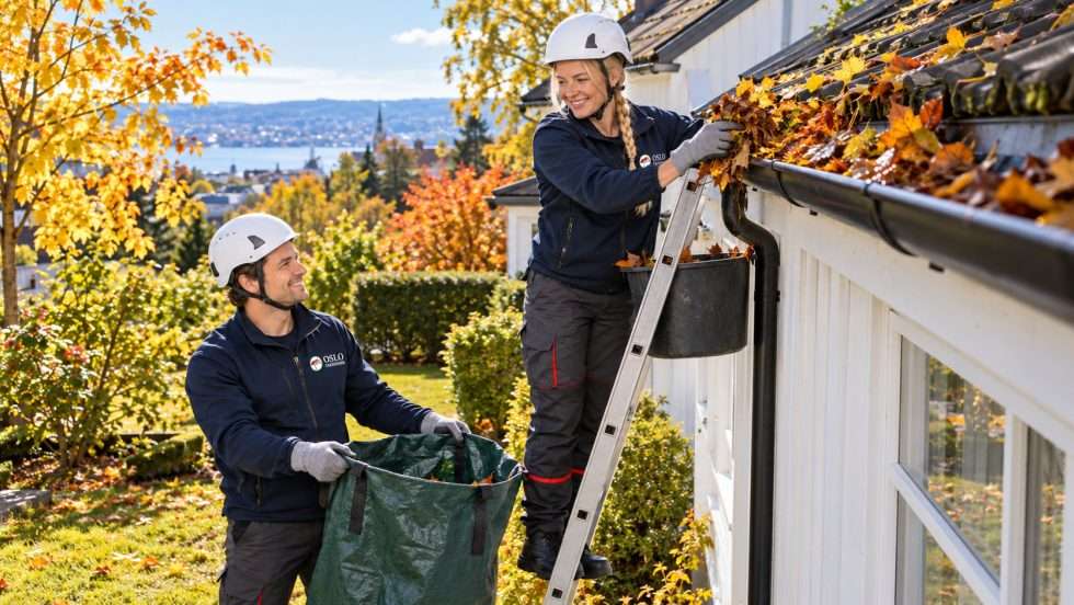 Rensing av takrenner fulle av høstløv fra stige