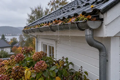 Gutter full of leaves and moss with rainwater running over the edge