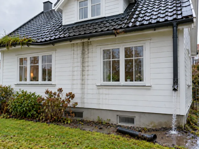 A white house with five signs of gutter problems: grass in the gutter, a sagging gutter, a rusty dripping joint, dark streaks on the wall and a broken downpipe letting water out at the foundation